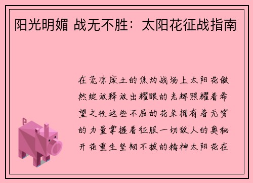 阳光明媚 战无不胜：太阳花征战指南